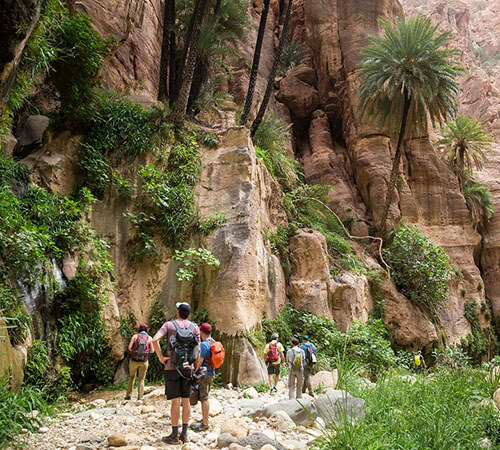 travel tours in jordan